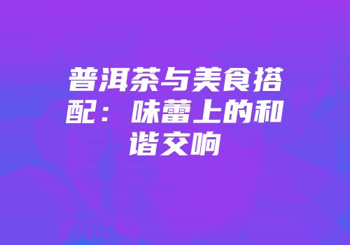 普洱茶与美食搭配：味蕾上的和谐交响