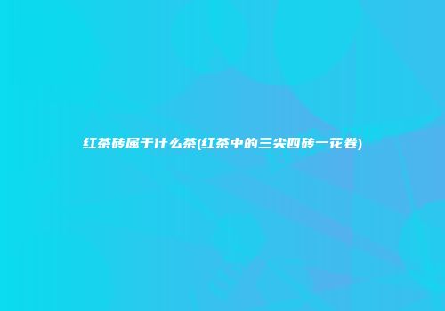 红茶砖属于什么茶(红茶中的三尖四砖一花卷)