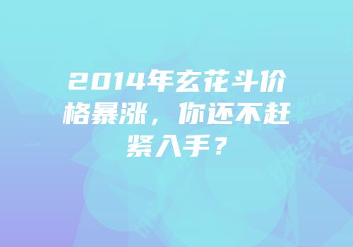 2014年玄花斗价格暴涨，你还不赶紧入手？