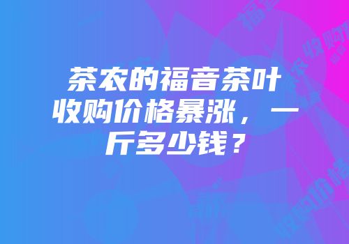 茶农的福音茶叶收购价格暴涨，一斤多少钱？