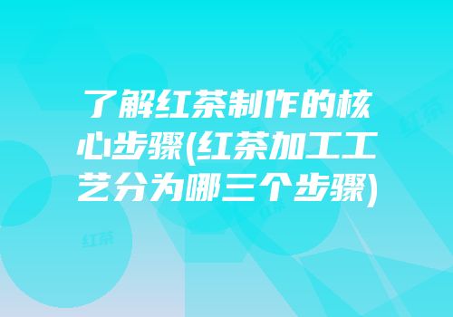 了解红茶制作的核心步骤(红茶加工工艺分为哪三个步骤)