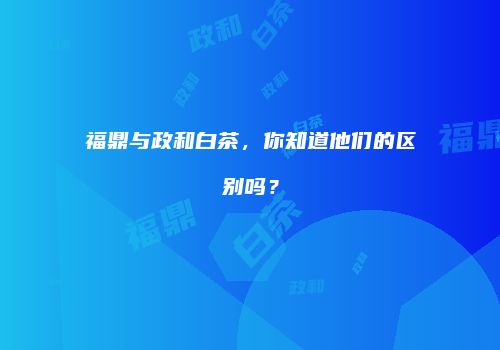 福鼎与政和白茶，你知道他们的区别吗？