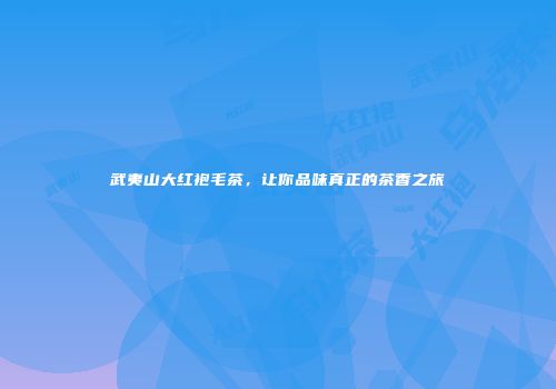 武夷山大红袍毛茶，让你品味真正的茶香之旅