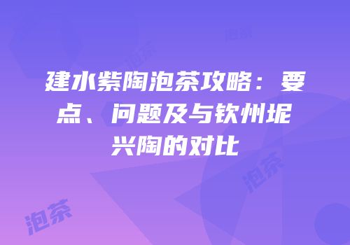 建水紫陶泡茶攻略：要点、问题及与钦州坭兴陶的对比