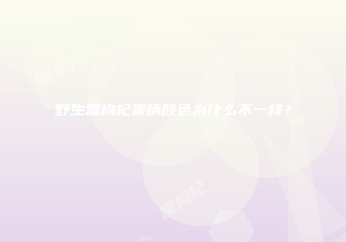 野生黑枸杞果柄颜色为什么不一样？