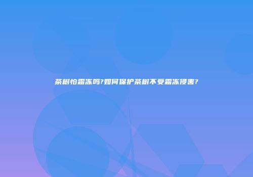 茶树怕霜冻吗?如何保护茶树不受霜冻侵害?