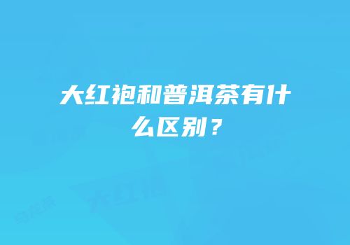 大红袍和普洱茶有什么区别？