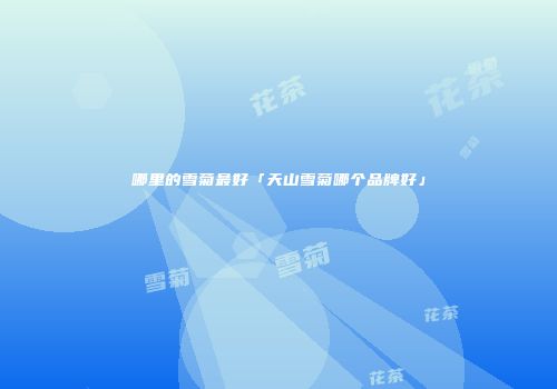 哪里的雪菊最好「天山雪菊哪个品牌好」