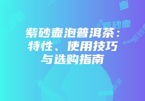 紫砂壶泡普洱茶：特性、使用技巧与选购指南