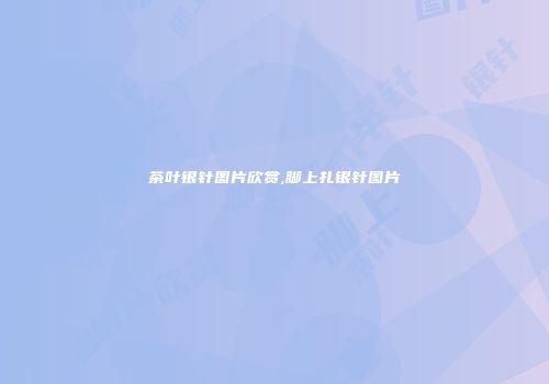茶叶银针图片欣赏,脚上扎银针图片