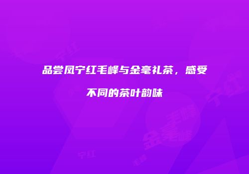 品尝凤宁红毛峰与金毫礼茶，感受不同的茶叶韵味