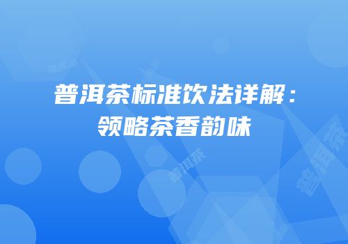 普洱茶标准饮法详解：领略茶香韵味