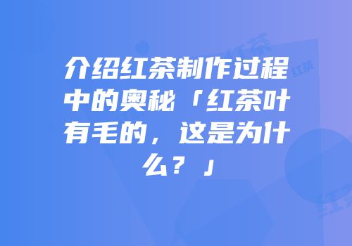 介绍红茶制作过程中的奥秘「红茶叶有毛的，这是为什么？」