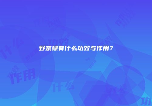 野茶棵有什么功效与作用？