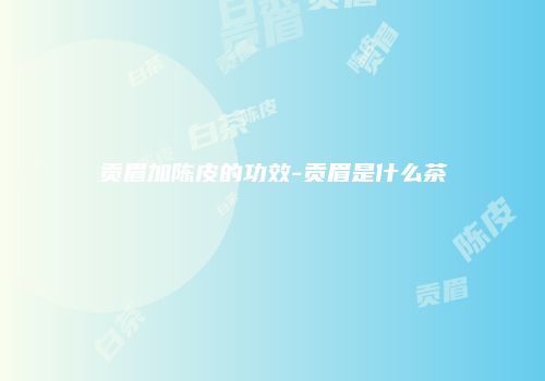 贡眉加陈皮的功效-贡眉是什么茶