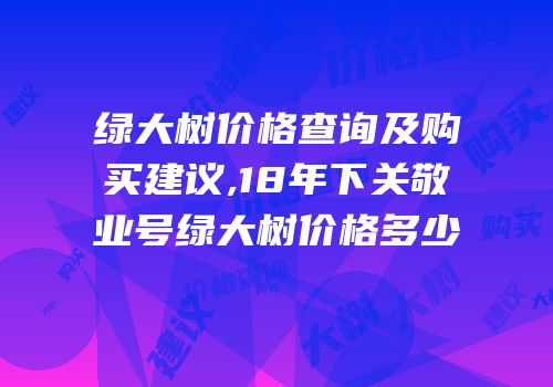 绿大树价格查询及购买建议,18年下关敬业号绿大树价格多少