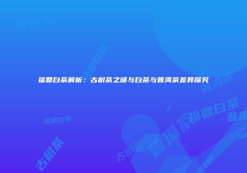 福鼎白茶解析：古树茶之谜与白茶与普洱茶差异探究