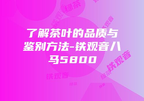 了解茶叶的品质与鉴别方法-铁观音八马5800