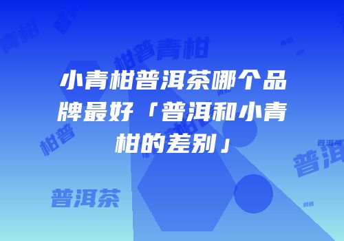小青柑普洱茶哪个品牌最好「普洱和小青柑的差别」