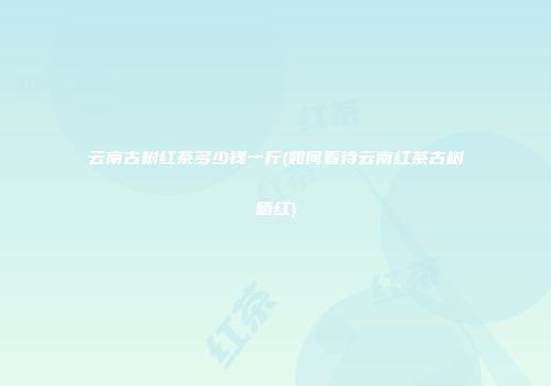 云南古树红茶多少钱一斤(如何看待云南红茶古树晒红)
