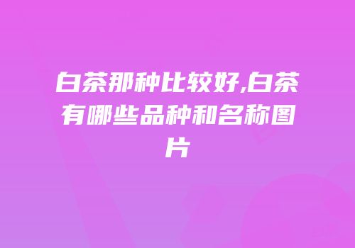 白茶那种比较好,白茶有哪些品种和名称图片