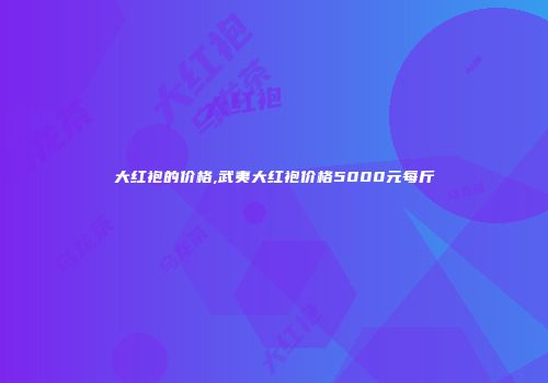 大红袍的价格,武夷大红袍价格5000元每斤