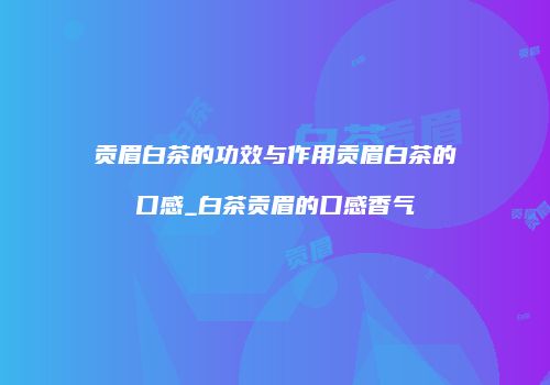 贡眉白茶的功效与作用贡眉白茶的口感_白茶贡眉的口感香气