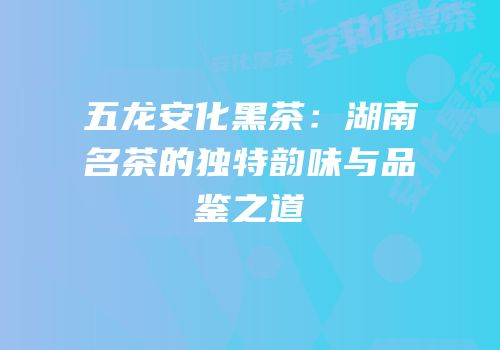 五龙安化黑茶：湖南名茶的独特韵味与品鉴之道