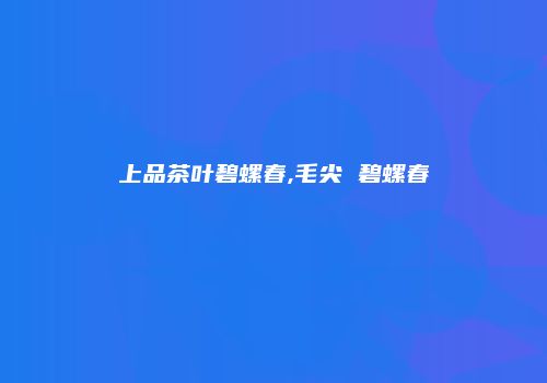 上品茶叶碧螺春,毛尖 碧螺春