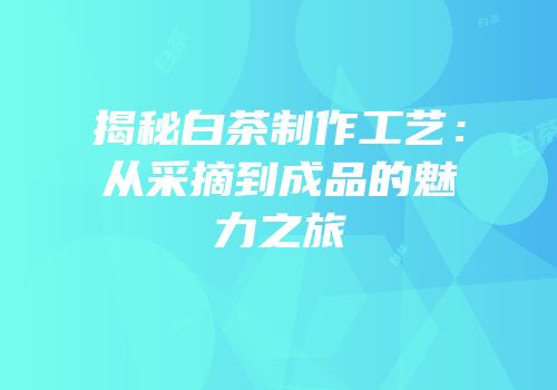 揭秘白茶制作工艺：从采摘到成品的魅力之旅
