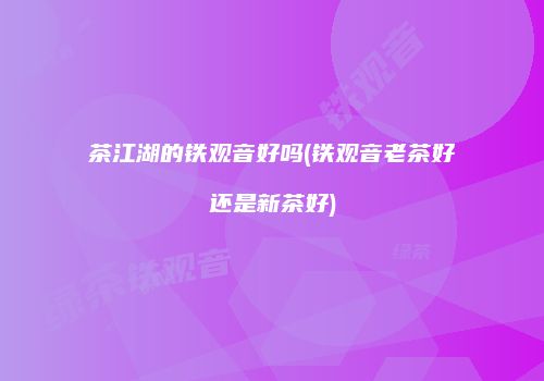 茶江湖的铁观音好吗(铁观音老茶好还是新茶好)