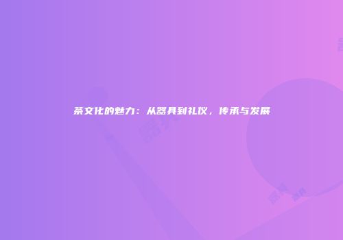 茶文化的魅力：从器具到礼仪，传承与发展