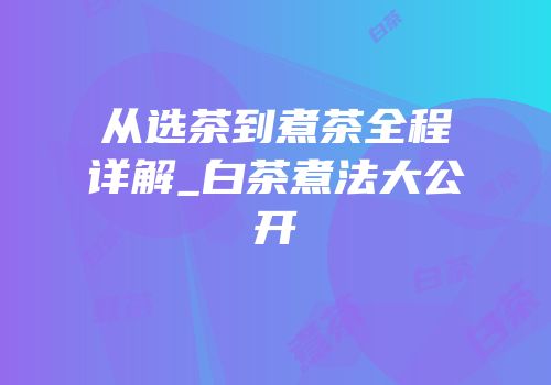 从选茶到煮茶全程详解_白茶煮法大公开