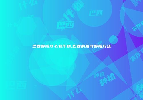 巴西种植什么农作物,巴西的茶叶种植方法