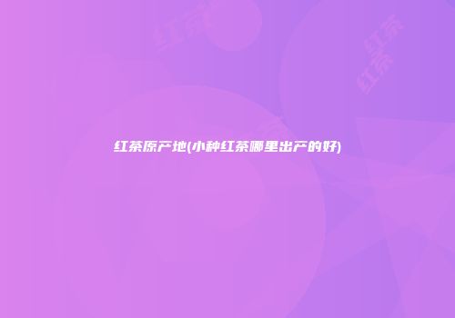 红茶原产地(小种红茶哪里出产的好)