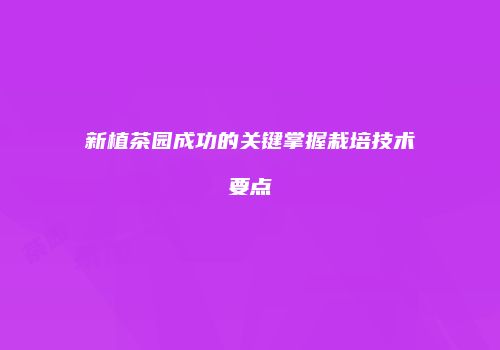 新植茶园成功的关键掌握栽培技术要点