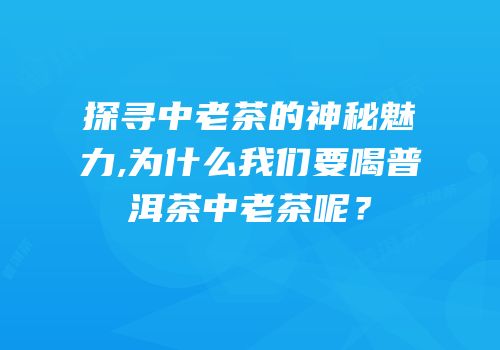 探寻中老茶的神秘魅力,为什么我们要喝普洱茶中老茶呢？