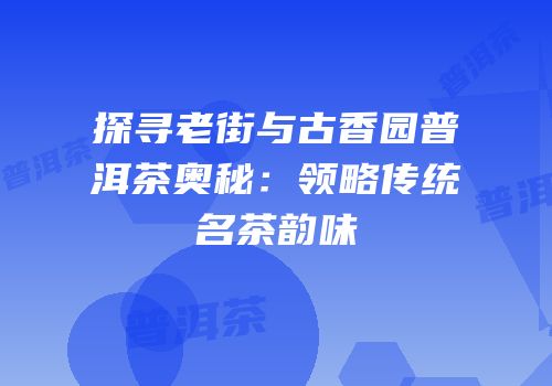 探寻老街与古香园普洱茶奥秘：领略传统名茶韵味