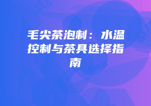 毛尖茶泡制：水温控制与茶具选择指南