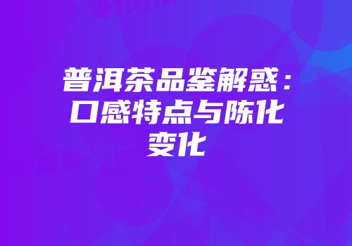 普洱茶品鉴解惑：口感特点与陈化变化