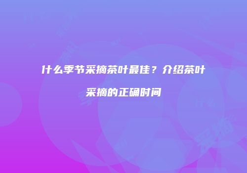 什么季节采摘茶叶最佳？介绍茶叶采摘的正确时间