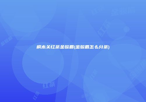 桐木关红茶金骏眉(金骏眉怎么分茶)