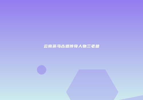 云南茶马古道传奇人物三老爹
