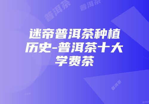 迷帝普洱茶种植历史-普洱茶十大学费茶