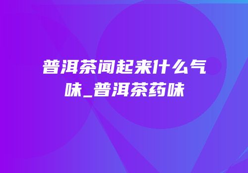 普洱茶闻起来什么气味_普洱茶药味