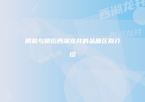 明前与明后西湖龙井的品质区别介绍