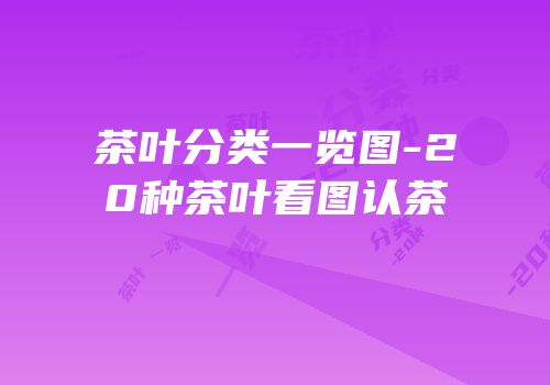 茶叶分类一览图-20种茶叶看图认茶