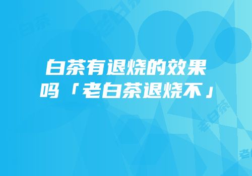 白茶有退烧的效果吗「老白茶退烧不」
