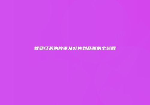 肯亚红茶的故事从叶片到品鉴的全过程