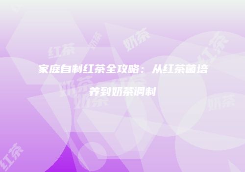 家庭自制红茶全攻略：从红茶菌培养到奶茶调制